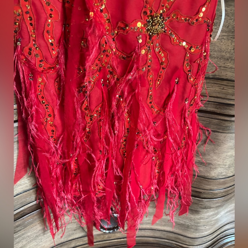 MANDALAY Sleeveless V-Neck Sequin Embellished mini Dress in Red-Size 4 - Picture 4 of 6